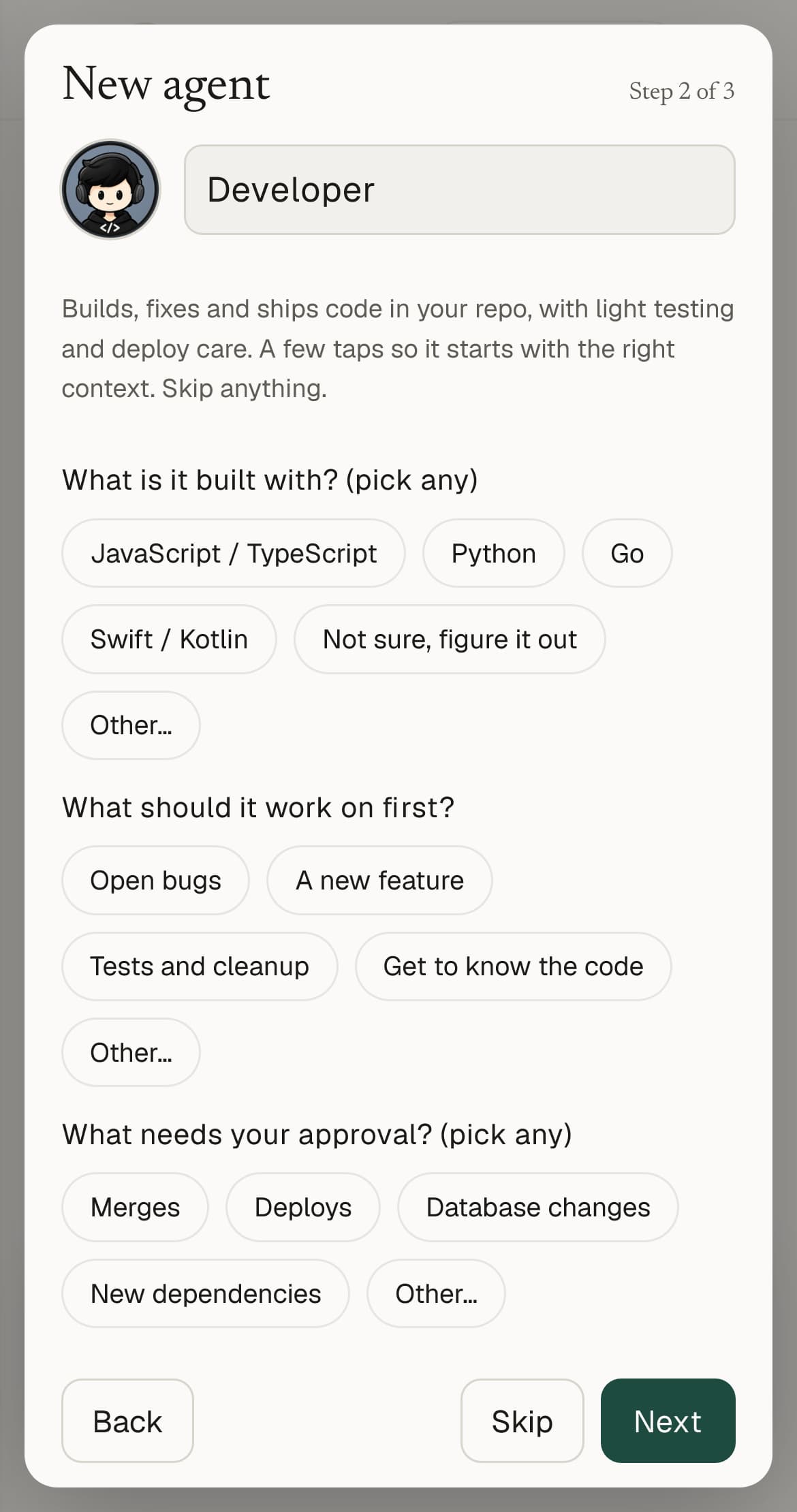 New agent, step 2 of 3, for the Developer: the role's own setup questions.